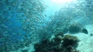 Аффирмации на спокойствие и уверенность