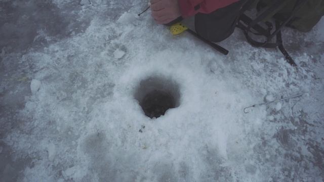 Трофейный лещ на 1750 на макароны. Бешеный клев леща. Вот это раздача. смотреть онлайн