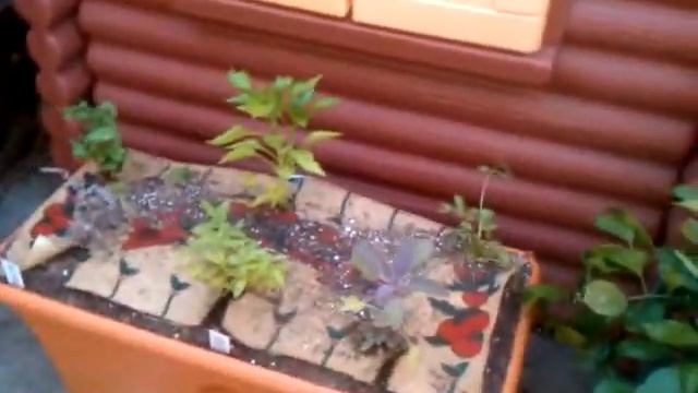 Our garden patch grow box garden смотреть онлайн