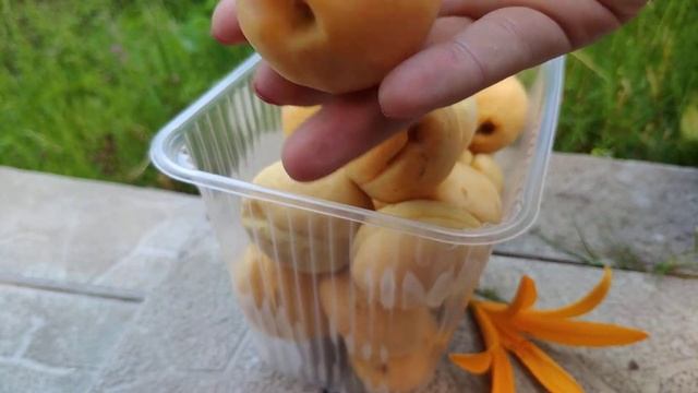 АБРИКОС из Узбекистана. смотреть онлайн