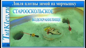 Ловля плотвы на мормышку. Зимняя рыбалка на Старооскольском водохранилище.mp4