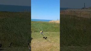 Обзор бензиновых триммеров CHAMPION T444S-2. Заработок за сезон от 500 000 ₽ ?