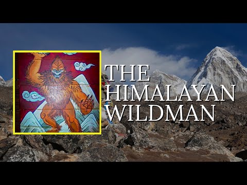Yeti | The Himalayan Wildman
