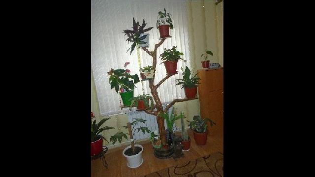 подставка для цветов!1 смотреть онлайн