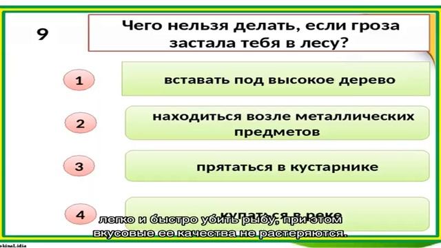 Как убить живую рыбу смотреть онлайн