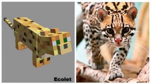 MINCRAFT: MOBES EN LA VIDA REAL | MINECRAFT: MOBS IN REAL LIFE
