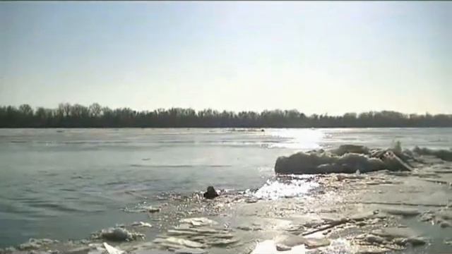 Моржи на Дунае смотреть онлайн