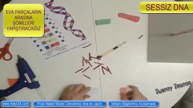 42-) dna modeli kısa-kolay-ucuz malzemeli ve yapılış anlatımlı смотреть онлайн
