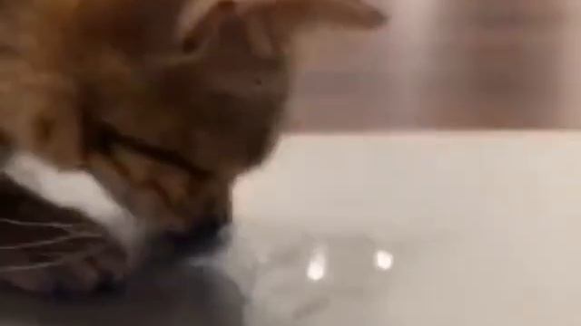 video_20@22-12-2020_17-18-11.mp4 смотреть онлайн