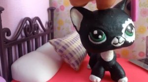 lps | как lps празднуют HALLOWEEN |lps