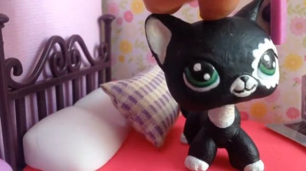 lps | как lps празднуют HALLOWEEN |lps