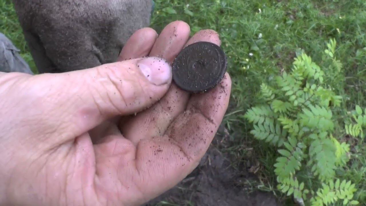 Поиск монет на Острове. Чудные находки.  8 июня 2024 г