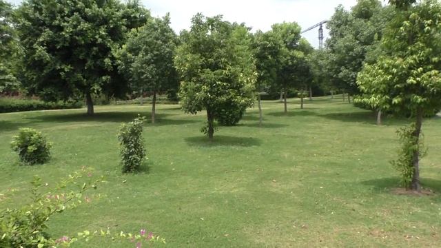 Пример видеосъемки микро видеокамеры BX970Z смотреть онлайн