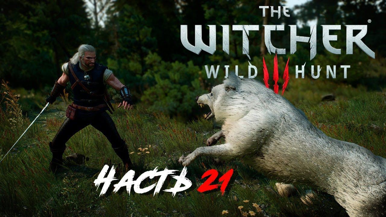 Прохождение The Witcher 3 Wild Hunt. Финал. Часть 21.