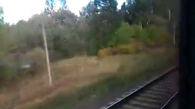 из вагона ресторана поезда Калининград Москва смотреть онлайн