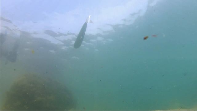 подводная охота 2014 черное море весна смотреть онлайн