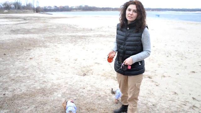 Гуляем по родным местам. Нашли кладбище домашних животных. смотреть онлайн