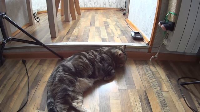 КУПИЛ НОВУЮ ЭКШН КАМЕРУ SONY AS300!