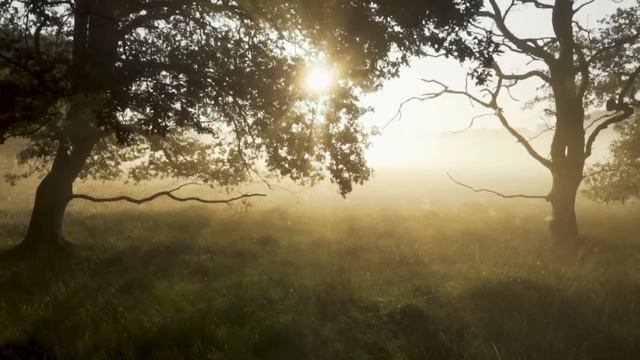 Мужу я так не разрешаю, а тебе можно. Интересные истории измен, аудио рассказ смотреть онлайн