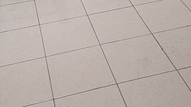 «Тёплые коты» группа Fleur/"Warm cats" group Fleur смотреть онлайн