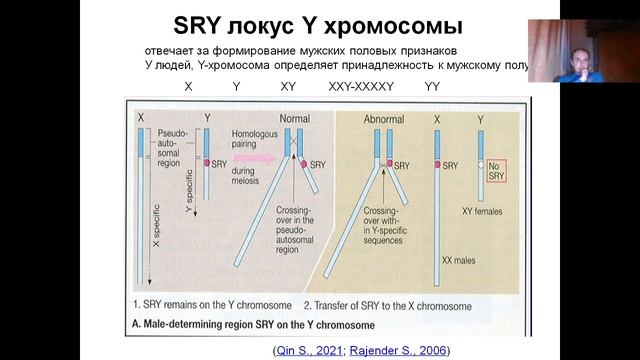 Лекция 8. (2023) Мутагенез