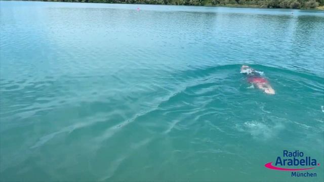 Wasserwacht Moosburg a. d. Isar: Wasserrettungshund Balu смотреть онлайн