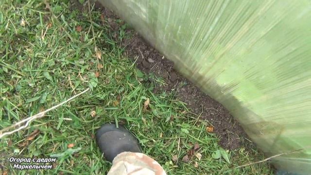 Как сделать тёплую грядку осенью. смотреть онлайн