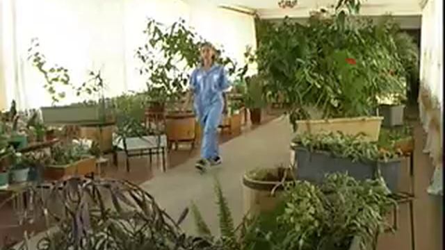 clip смотреть онлайн