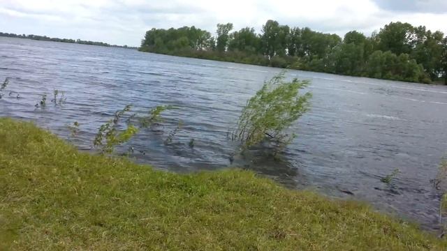 Река Тура в Тюмени, в районе деревни Чикча смотреть онлайн