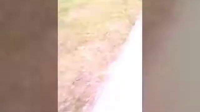 Не загрязняет природу смотреть онлайн