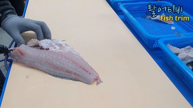 감성돔회뜨기, 자연산 감성돔 , 낚시 , black sea bream смотреть онлайн