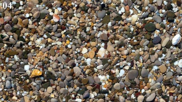 Find the hidden animal. Game | Can you find the hidden animals?| Hidden pictures | Brain Teasers