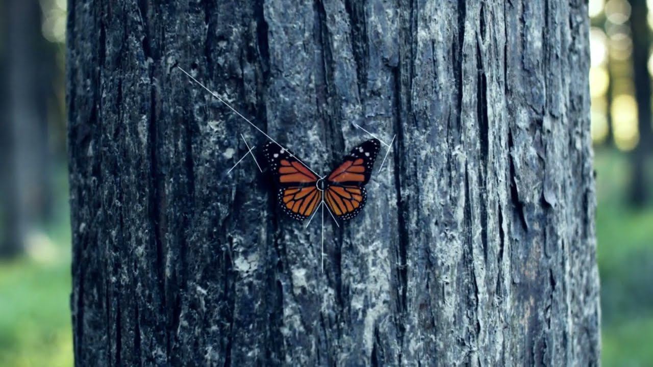 Офисное кресло Sunon Butterfly