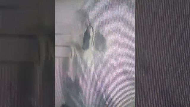Что у меня в голове когда снимают видео смотреть онлайн