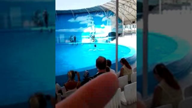 Я на чёрном море ; ) смотреть онлайн