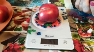 Томат Черничный десерт.