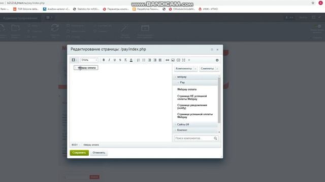 Инструкция по установке и настройке простого модуля оплаты WEBPAY смотреть онлайн