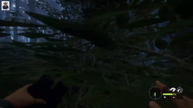 TheHunter: Call Of The Wild - Te Awaroa National Park - Сюжетные задания