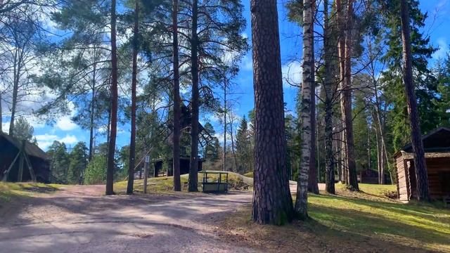 (4K) Helsinki digital walking tour (Seurasaari) смотреть онлайн
