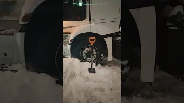 Откопать любой ценой 31.01.22 смотреть онлайн