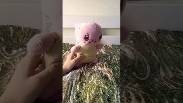 а потом суп с котом