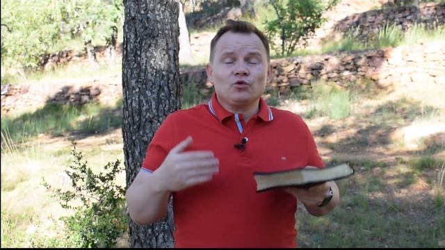 Плод Духа: Кротость. - Вадим Криничный. смотреть онлайн