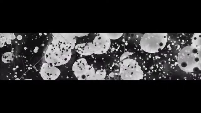 stille /// bendik смотреть онлайн