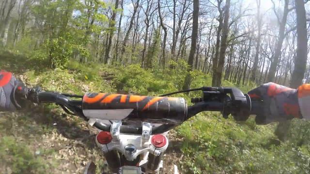 PIT BIKE KAYO TT 160 ENDURO NELLA FORESTA смотреть онлайн