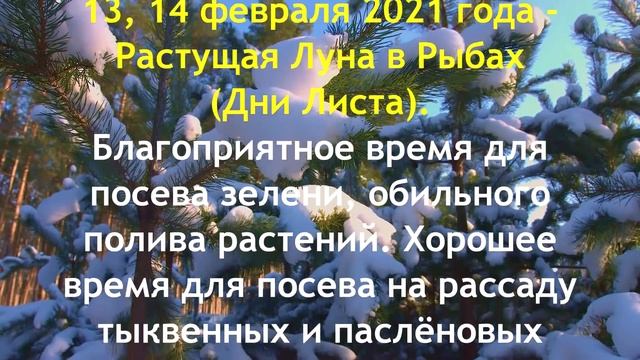 Лунный посевной календарь на Февраль 2021 года смотреть онлайн