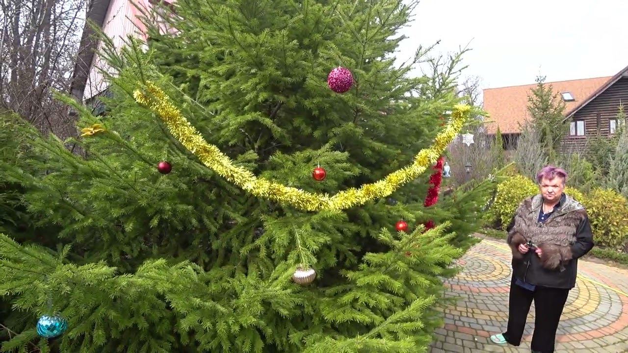 ПОРА ОТКРЫВАТЬ ДАЧНЫЕ СЕЗОНЫ 2024 . ПРИВЕТ ИЗ ХАРЬКОВА ОТ МАЭСТРО МАЖОР смотреть онлайн