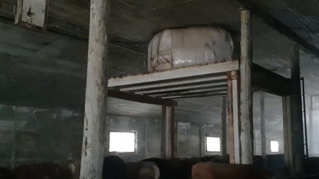 Обзор Быков / Как сделана поилка смотреть онлайн