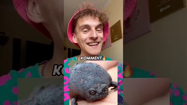 чем кормешь Дим димыча??? смотреть онлайн