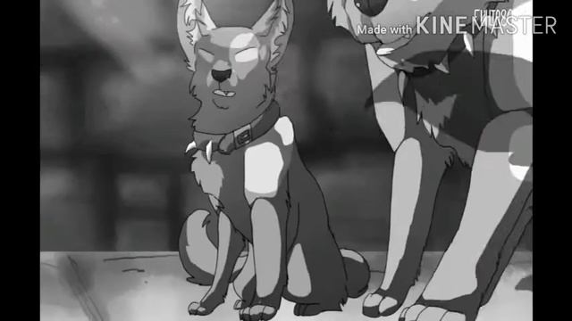 ||Коты-воители|| клип - Ведьм у нас сжигают ||Бич|| смотреть онлайн