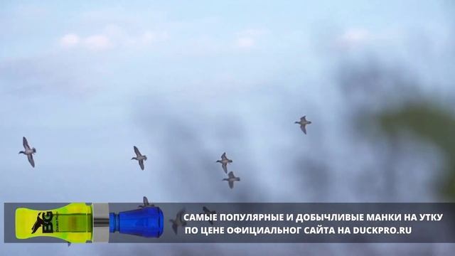 17. Как манить утку Охота с Фрэдом Зинком. Комбинация с манками. Русская озвучка. смотреть онлайн